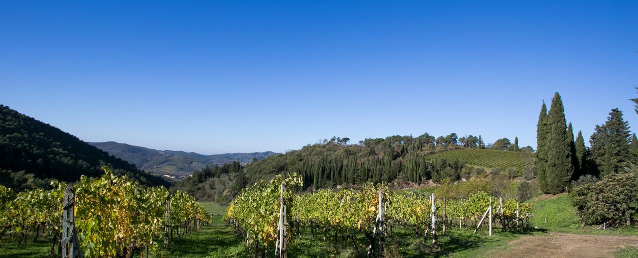 Casa Marina Greve in Chianti Exterior foto